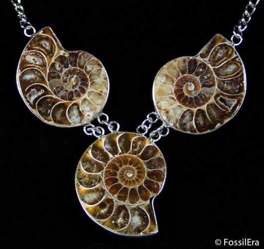 Triple Ammonite Necklace #2915